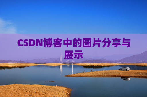 CSDN博客中的图片分享与展示